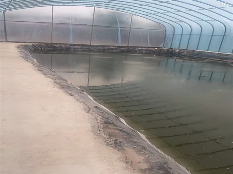 Čo je MBBR v STP?
