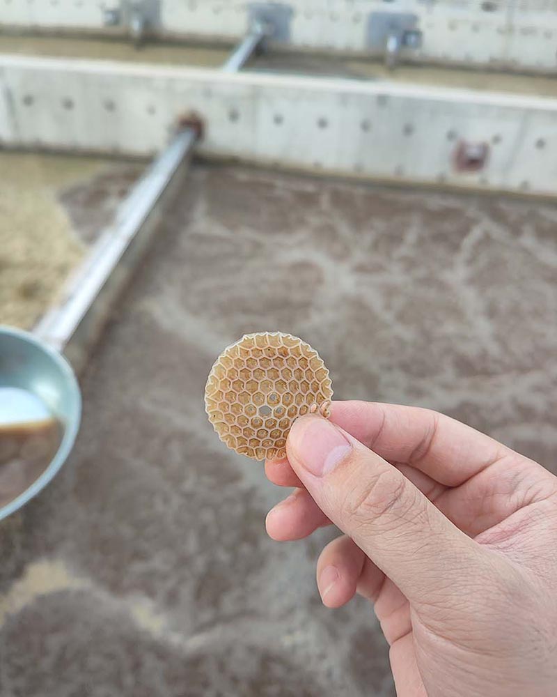 1-pic